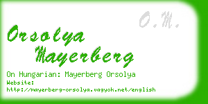 orsolya mayerberg business card